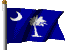 flag of South Carolina